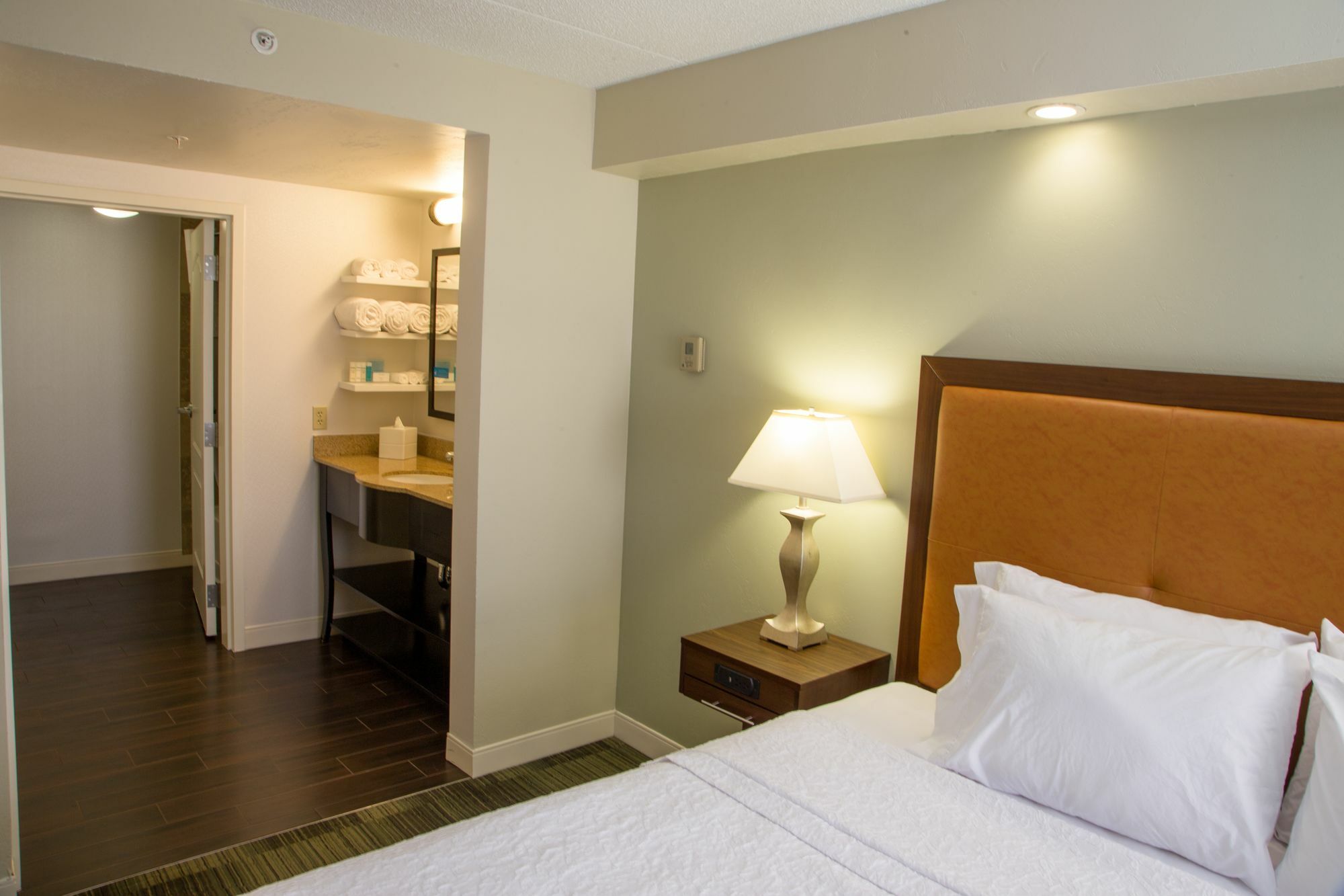 Hampton Inn & Suites Albany-Downtown Экстерьер фото